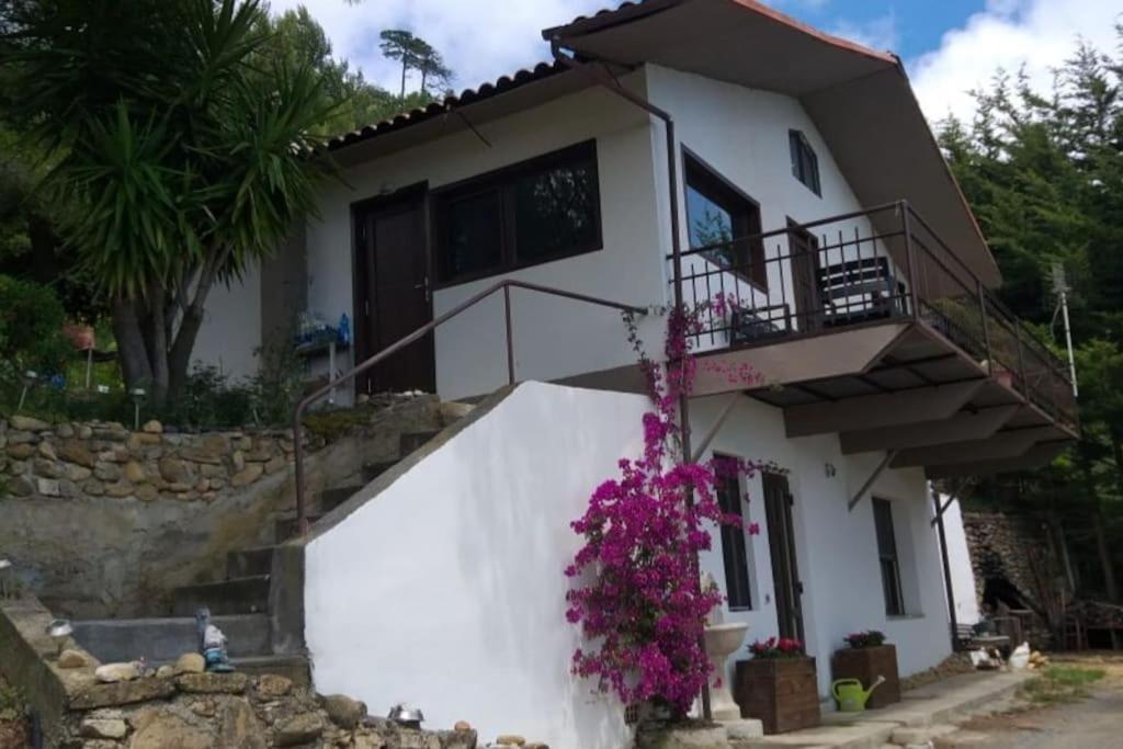 منزل الضيف سانريمو  في Detached House With Garden And Sea View المظهر الخارجي الصورة
